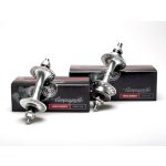 Campagnolo Record Pista agy szett 1x FIX - ezüst